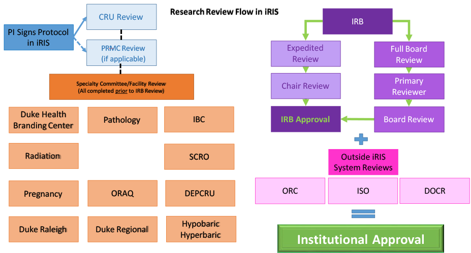 Research Review Flow